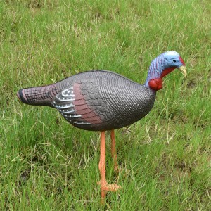 Elong al aire libre 41t3D2 3D Pollo Target Tiry Shooting Plactice usando el objetivo realista